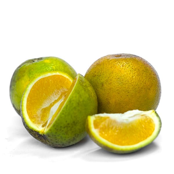 Naranja Valencia x Lb