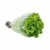 Lechuga Crespa x Und
