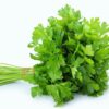 Atado de Perejil Liso x Und