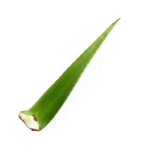Penca De Sábila x Und