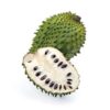 Guanabana x Lb