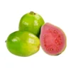 Guayaba Pera x Lb