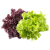 Lechuga Mix x 250gr