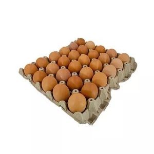 Huevos doble AA x cubeta